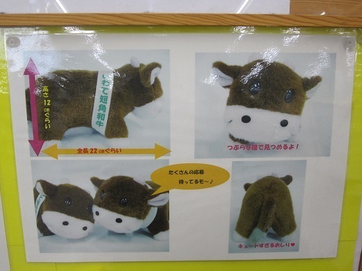 いわて短角牛のぬいぐるみが当選！: 日常集0号